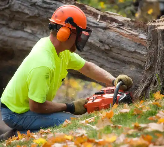 tree services Broad Creek